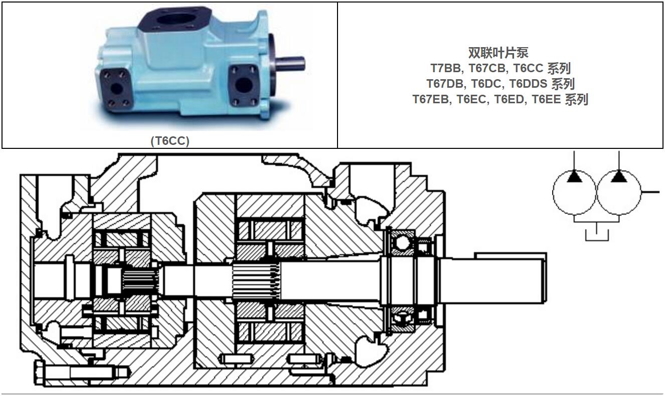 dT6CC